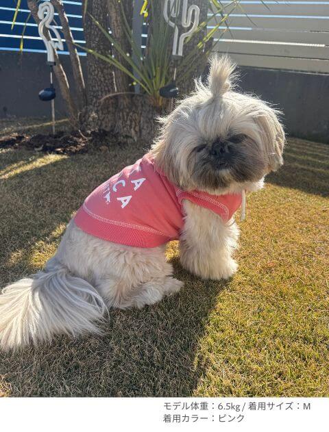 スウェットボタンパーカー犬服ブランドのドッグデプト/DOG DEPT