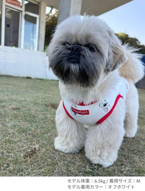 DOGS IN SHADES ノースリーブ 犬服ブランドのドッグデプト/DOG DEPT