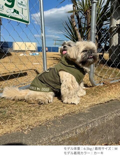 ドライタッチ　ボタンパーカー犬服ブランドのドッグデプト/DOG DEPT
