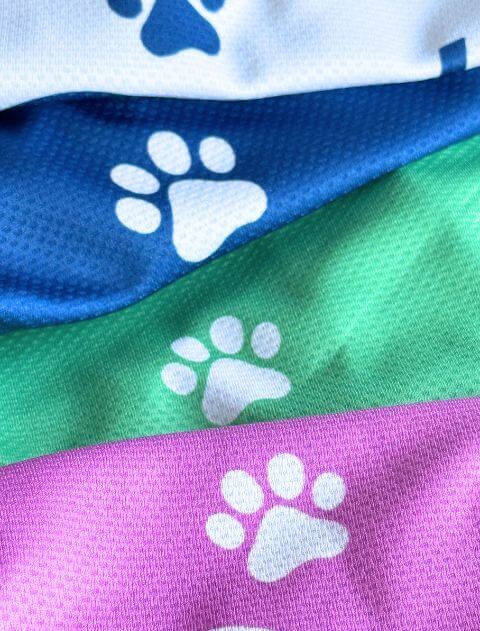 濡らして着る　スポーツロゴノースリーブ犬服ブランドのドッグデプト/DOG DEPT