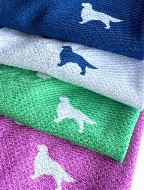 濡らして着る　スポーツロゴノースリーブ犬服ブランドのドッグデプト/DOG DEPT