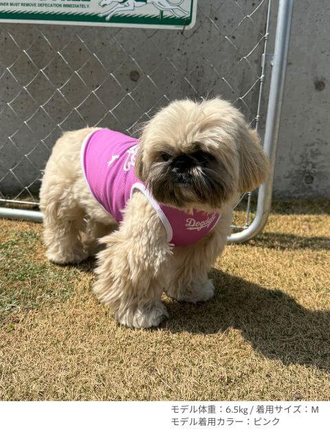 濡らして着る　スポーツロゴノースリーブ犬服ブランドのドッグデプト/DOG DEPT