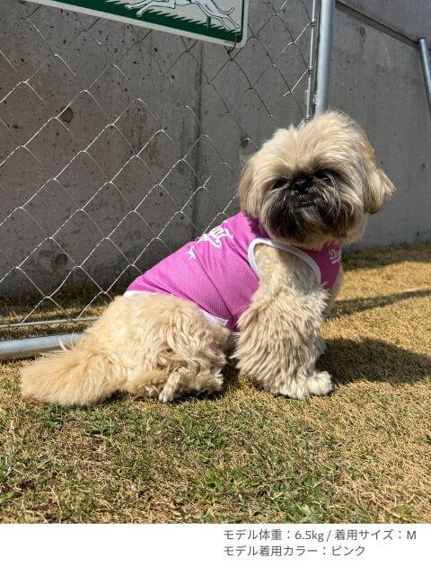 濡らして着る　スポーツロゴノースリーブ犬服ブランドのドッグデプト/DOG DEPT