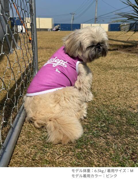 濡らして着る　スポーツロゴノースリーブ犬服ブランドのドッグデプト/DOG DEPT