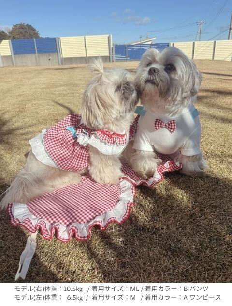 Valentine cafe パンツ＆スカート 犬服ブランドのドッグデプト/DOG DEPT