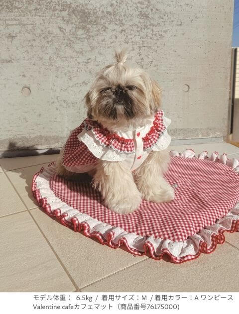 Valentine cafe パンツ＆スカート 犬服ブランドのドッグデプト/DOG DEPT