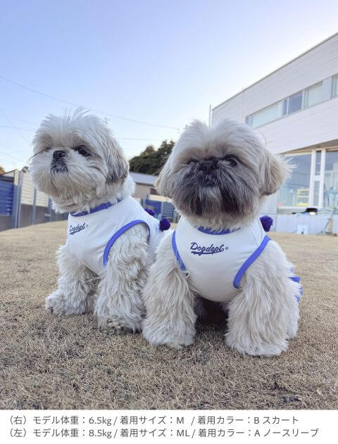 cheer dog　ペア 犬服ブランドのドッグデプト/DOG DEPT