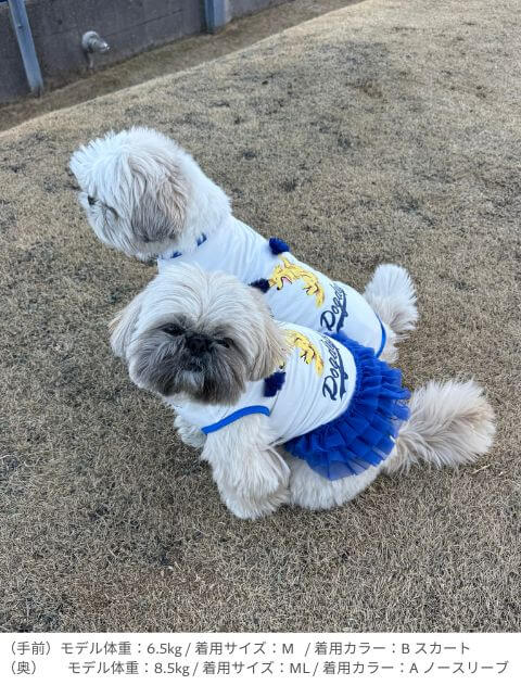 cheer dog　ペア 犬服ブランドのドッグデプト/DOG DEPT