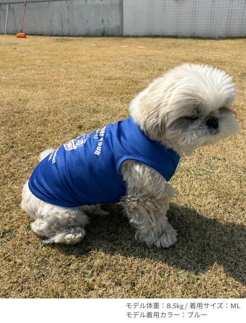 濡らして着るcalifornia market  ノースリーブ犬服ブランドのドッグデプト/DOG DEPT