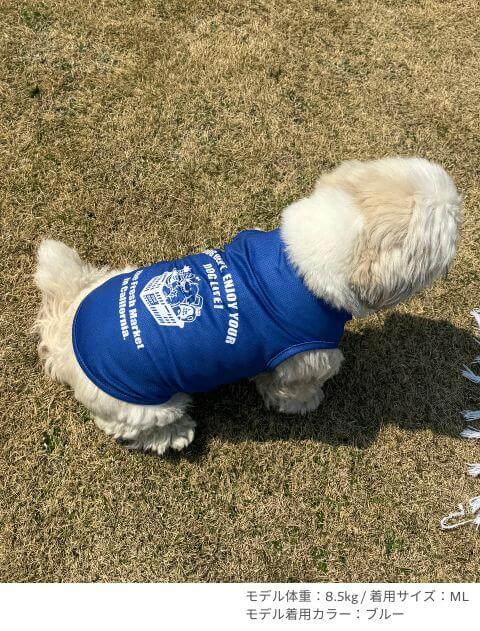 濡らして着るcalifornia market  ノースリーブ犬服ブランドのドッグデプト/DOG DEPT