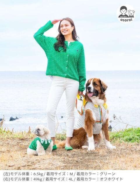 ポルカボーダー　セーラー 犬服ブランドのドッグデプト/DOG DEPT