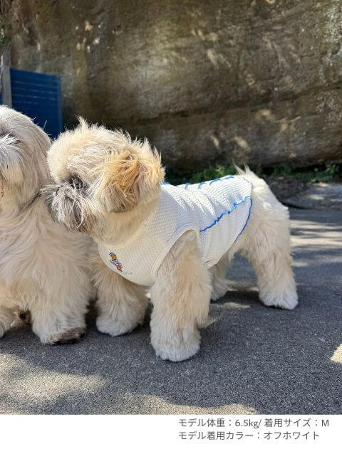ハイテンションワッフル　ノースリーブ犬服ブランドのドッグデプト/DOG DEPT