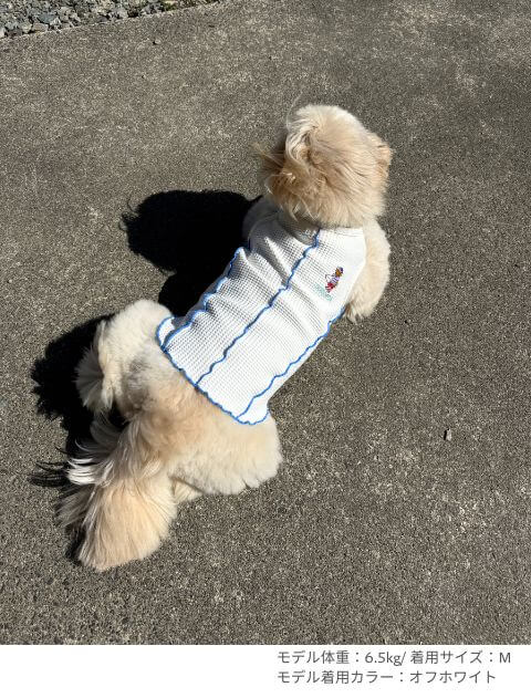 ハイテンションワッフル　ノースリーブ犬服ブランドのドッグデプト/DOG DEPT