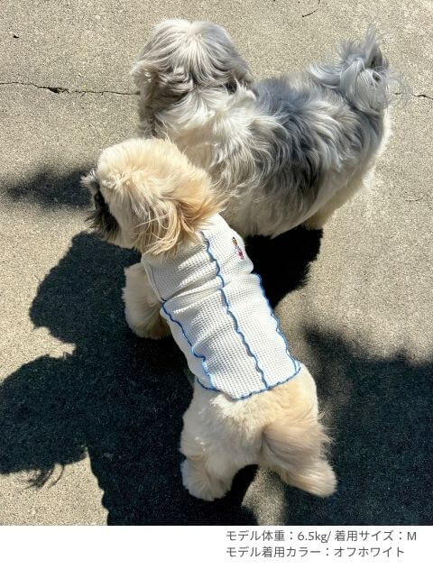 ハイテンションワッフル　ノースリーブ犬服ブランドのドッグデプト/DOG DEPT