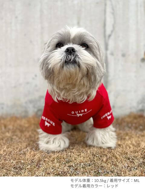 ソサエティ Tシャツ 犬服ブランドのドッグデプト/DOG DEPT