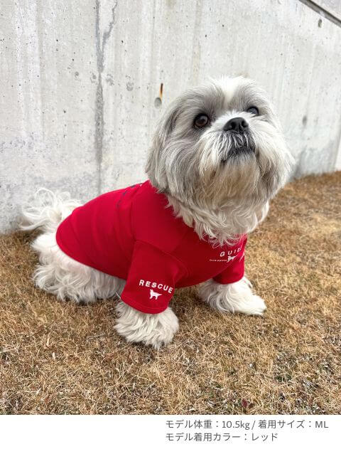 ソサエティ Tシャツ 犬服ブランドのドッグデプト/DOG DEPT