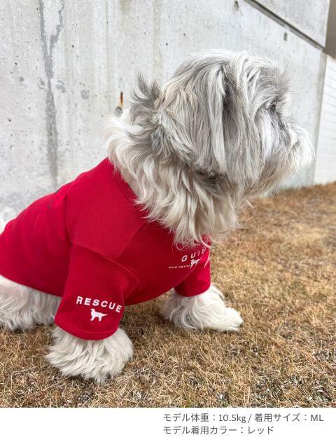 ソサエティ Tシャツ 犬服ブランドのドッグデプト/DOG DEPT