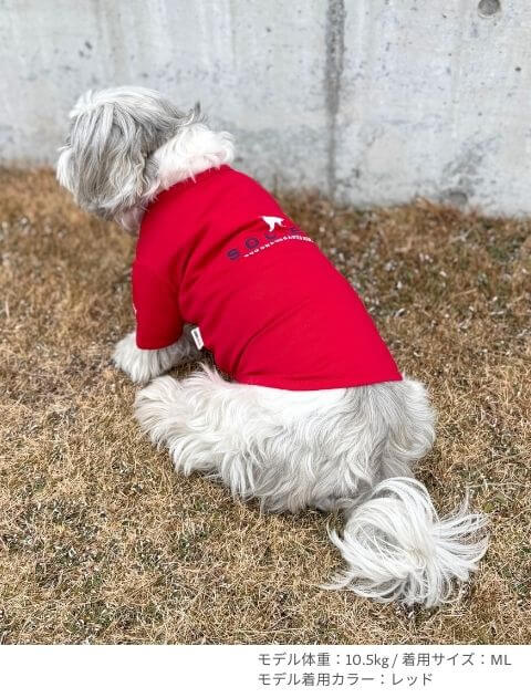 ソサエティ Tシャツ 犬服ブランドのドッグデプト/DOG DEPT