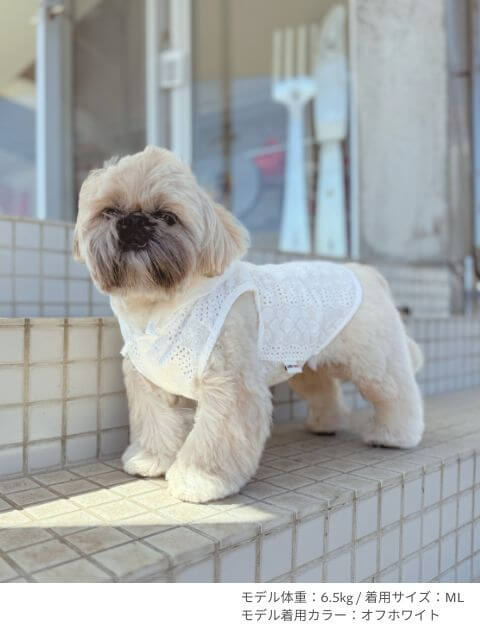 エンブロイダリーノースリーブシャツパーカー犬服ブランドのドッグデプト/DOG DEPT