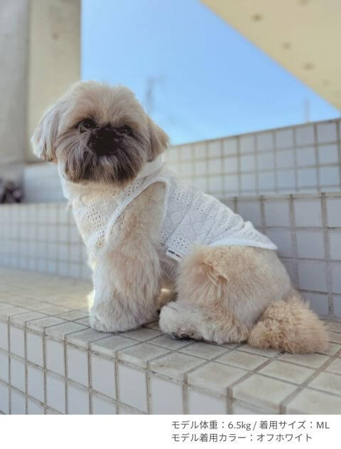 エンブロイダリーノースリーブシャツパーカー犬服ブランドのドッグデプト/DOG DEPT