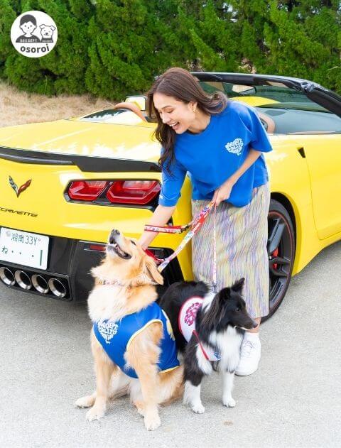 濡らして着るハートモチーフノースリーブ犬服ブランドのドッグデプト/DOG DEPT
