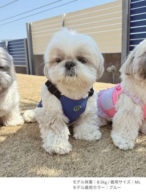 クールベスト犬服ブランドのドッグデプト/DOG DEPT