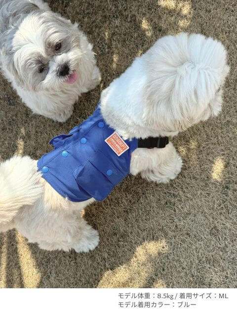 クールベスト犬服ブランドのドッグデプト/DOG DEPT