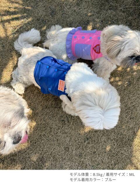 クールベスト犬服ブランドのドッグデプト/DOG DEPT