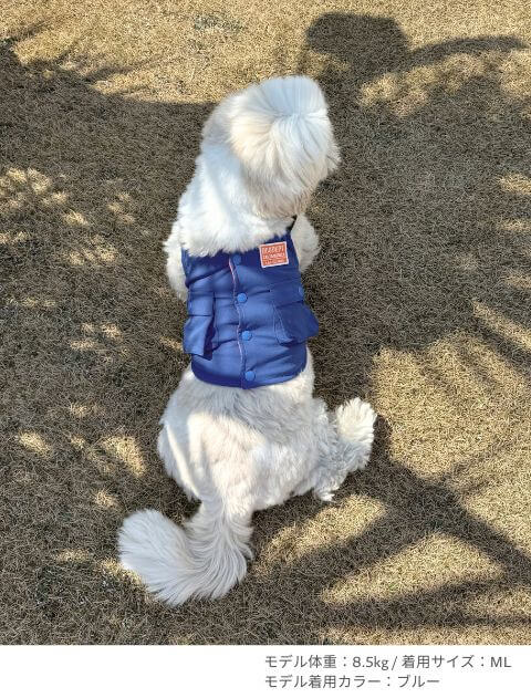 クールベスト犬服ブランドのドッグデプト/DOG DEPT