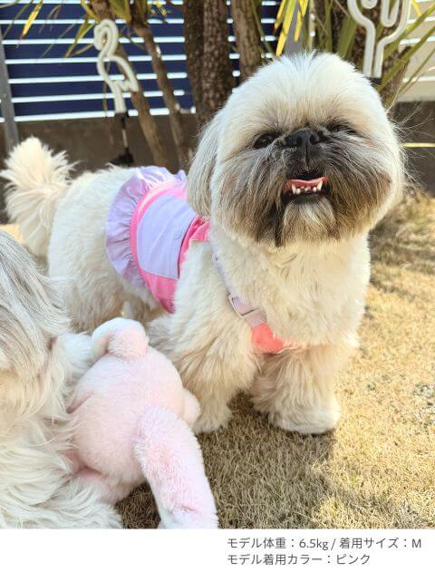 クールビスチェ 犬服ブランドのドッグデプト/DOG DEPT