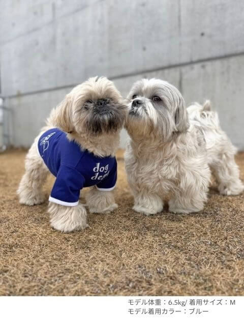 ドッグイラストT 犬服ブランドのドッグデプト/DOG DEPT