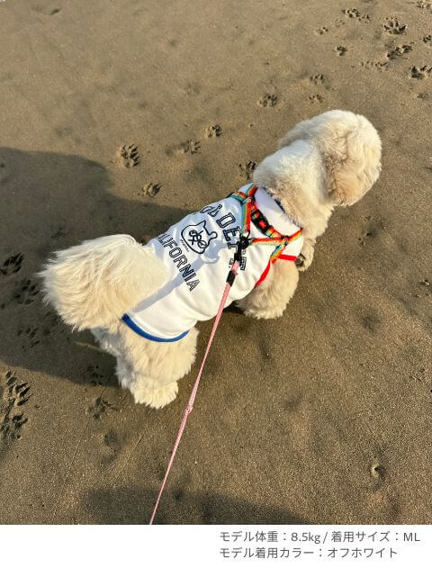 DEPTA ノースリーブ犬服ブランドのドッグデプト/DOG DEPT