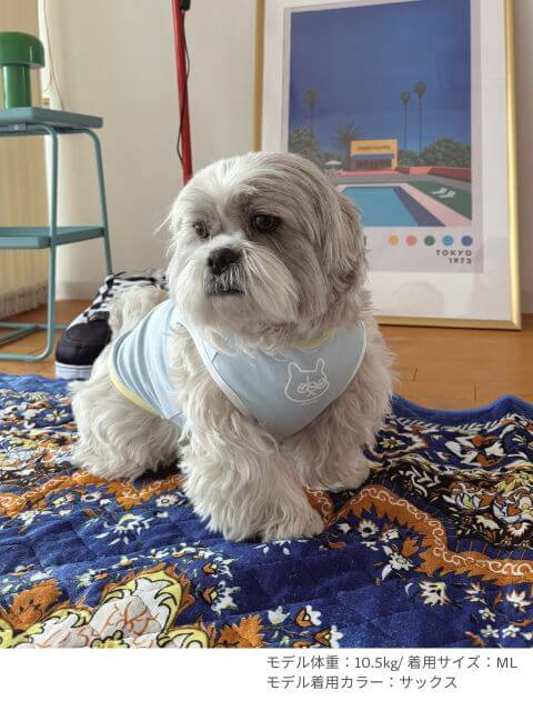 DEPTA ノースリーブ犬服ブランドのドッグデプト/DOG DEPT