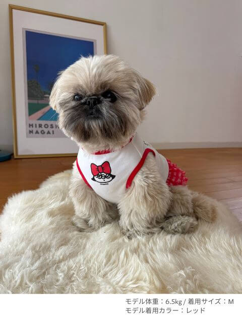 DEPMI フリルワンピ犬服ブランドのドッグデプト/DOG DEPT