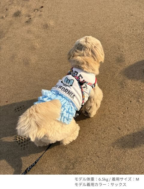 DEPMI フリルワンピ犬服ブランドのドッグデプト/DOG DEPT