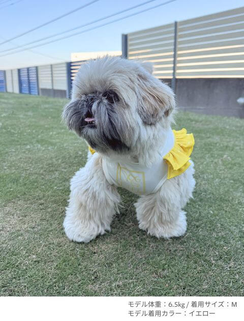 ネオンロゴフリルノースリーブ 犬服ブランドのドッグデプト/DOG DEPT
