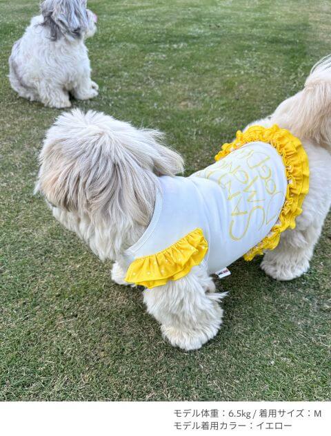 ネオンロゴフリルノースリーブ 犬服ブランドのドッグデプト/DOG DEPT