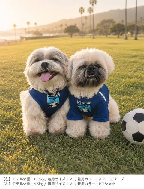 サッカーユニフォーム 犬服ブランドのドッグデプト/DOG DEPT