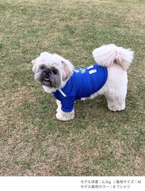 サッカーユニフォーム 犬服ブランドのドッグデプト/DOG DEPT