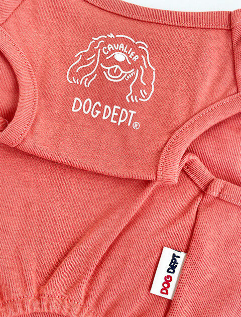 My Dog is No.1 　キャバリアノースリーブ犬服ブランドのドッグデプト/DOG DEPT