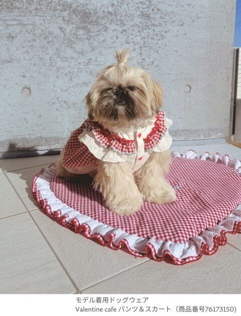 DOG GOODS】Valentine cafe カフェマット