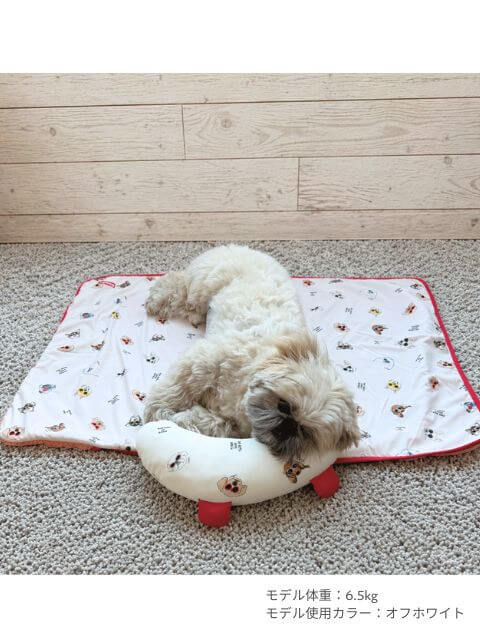 DOGS IN SHADES　クールブランケット  ブランドのドッグデプト/DOG DEPT