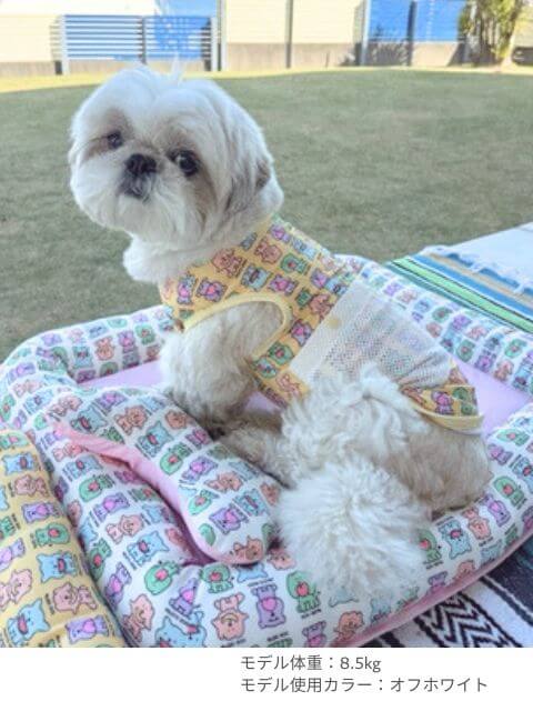 FRUITS DOGS クールベッド ブランドのドッグデプト/DOG DEPT