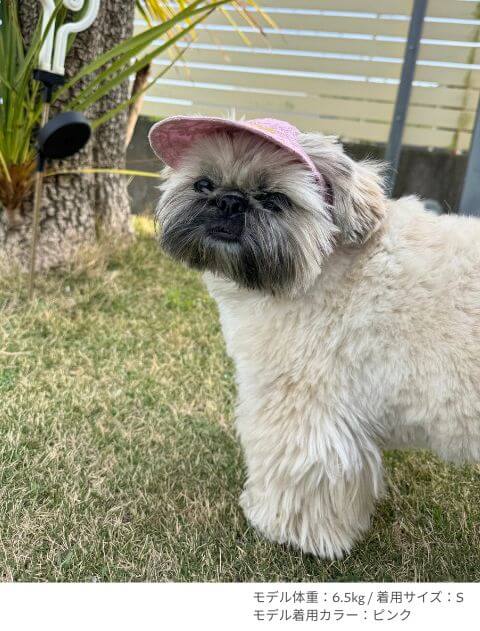 エンブロイダリー　ドッグキャップ ブランドのドッグデプト/DOG DEPT