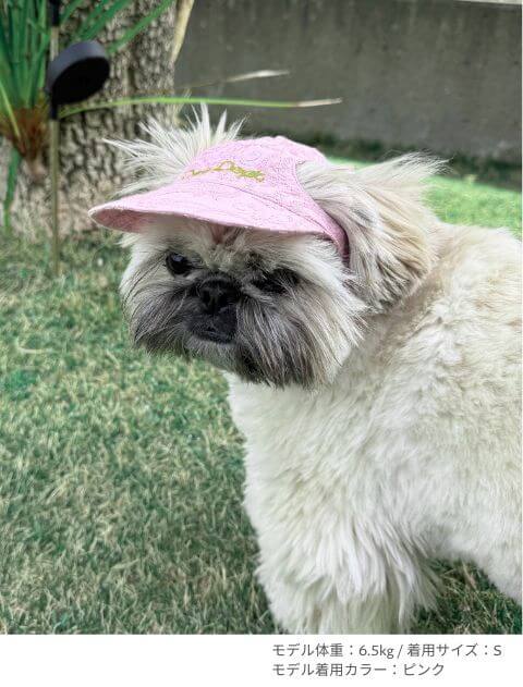 エンブロイダリー　ドッグキャップ ブランドのドッグデプト/DOG DEPT