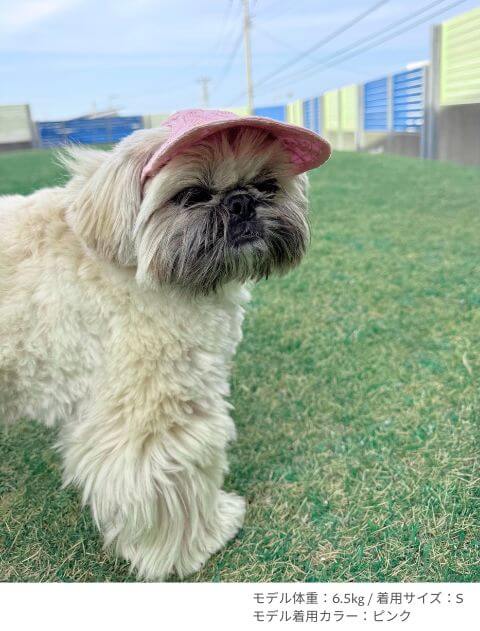 エンブロイダリー　ドッグキャップ ブランドのドッグデプト/DOG DEPT