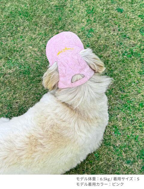 エンブロイダリー　ドッグキャップ ブランドのドッグデプト/DOG DEPT