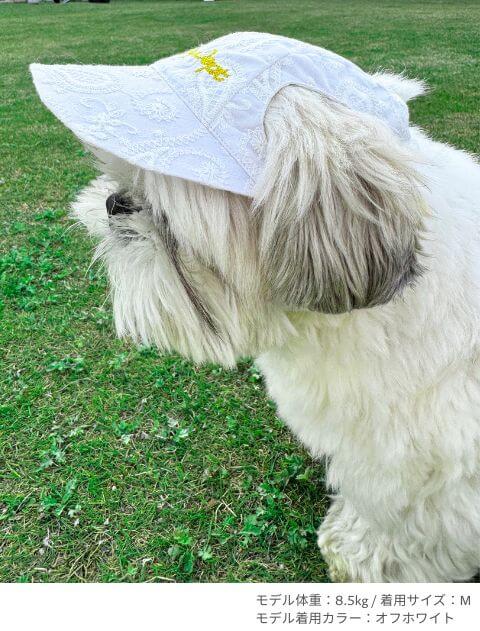 エンブロイダリー　ドッグキャップ ブランドのドッグデプト/DOG DEPT