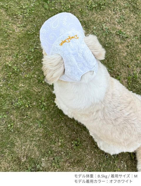 エンブロイダリー　ドッグキャップ ブランドのドッグデプト/DOG DEPT