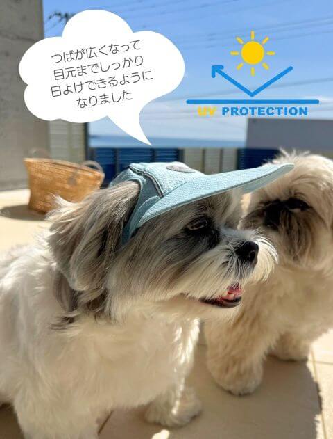 リフレクタークールドッグキャップ(UVカット加工） ブランドのドッグデプト/DOG DEPT